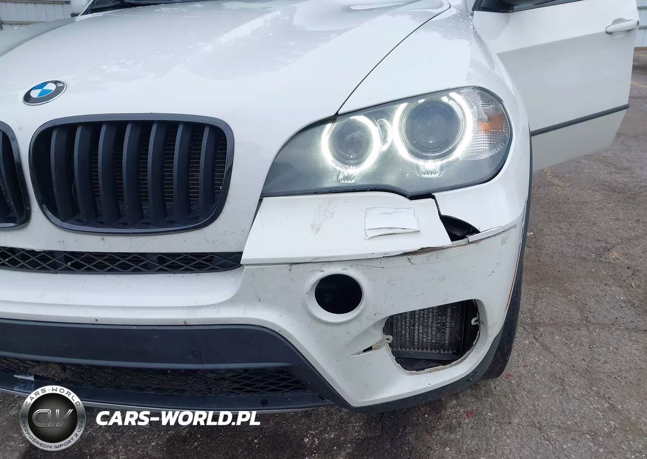 2012 BMW X5 xDrive35D VIN:5UXZW0C59CL666546 - 12