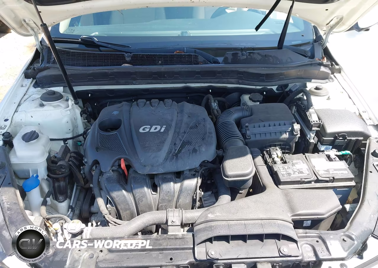 2015 Kia Optima Lx VIN:KNAGM4A78F5653805 - 10