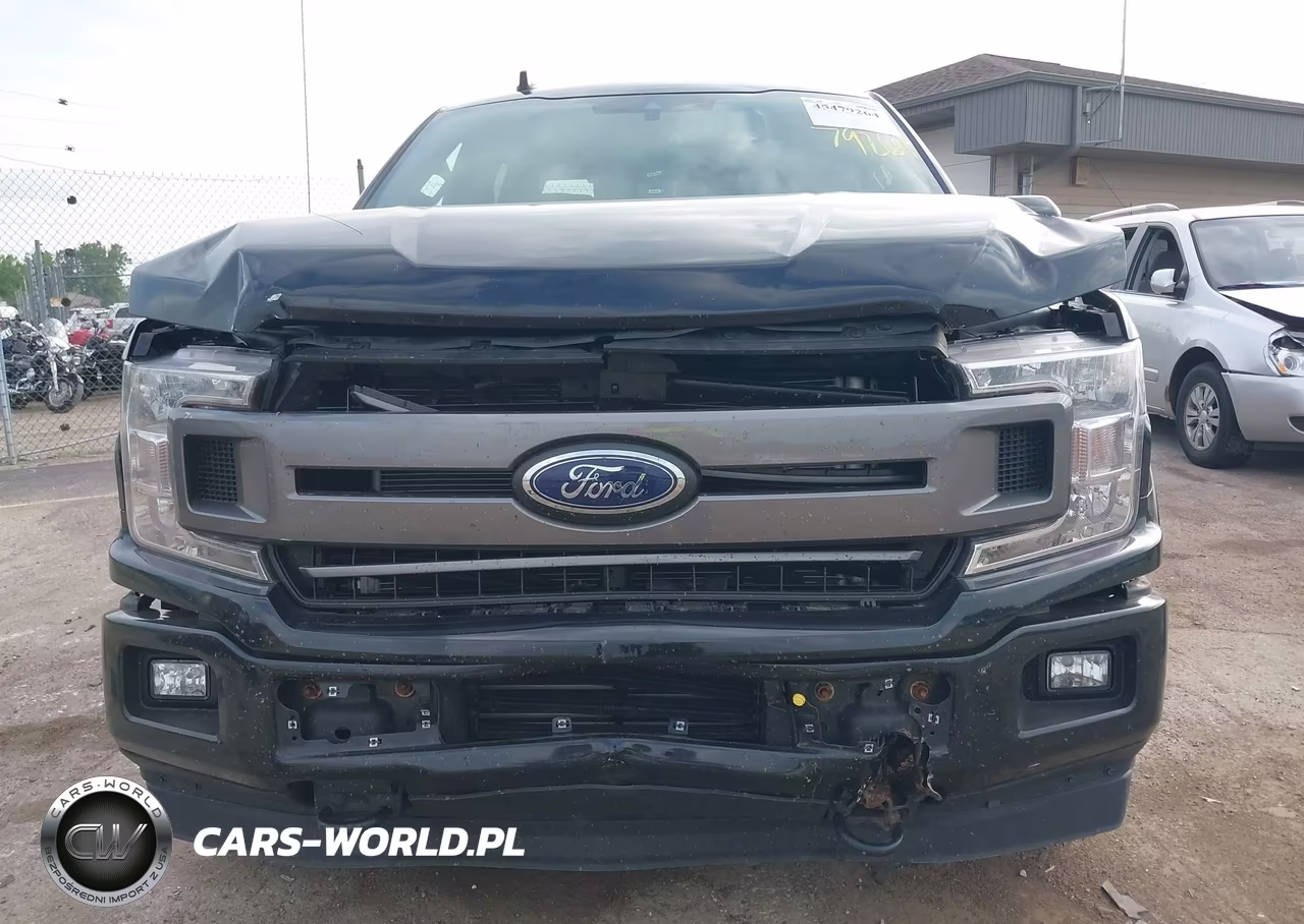 2019 Ford F-150 Xlt VIN:1FTEW1EP6KFB45432 - 12