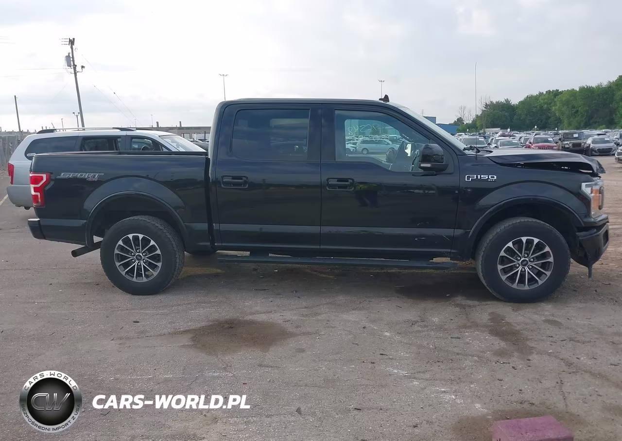 2019 Ford F-150 Xlt VIN:1FTEW1EP6KFB45432 - 13