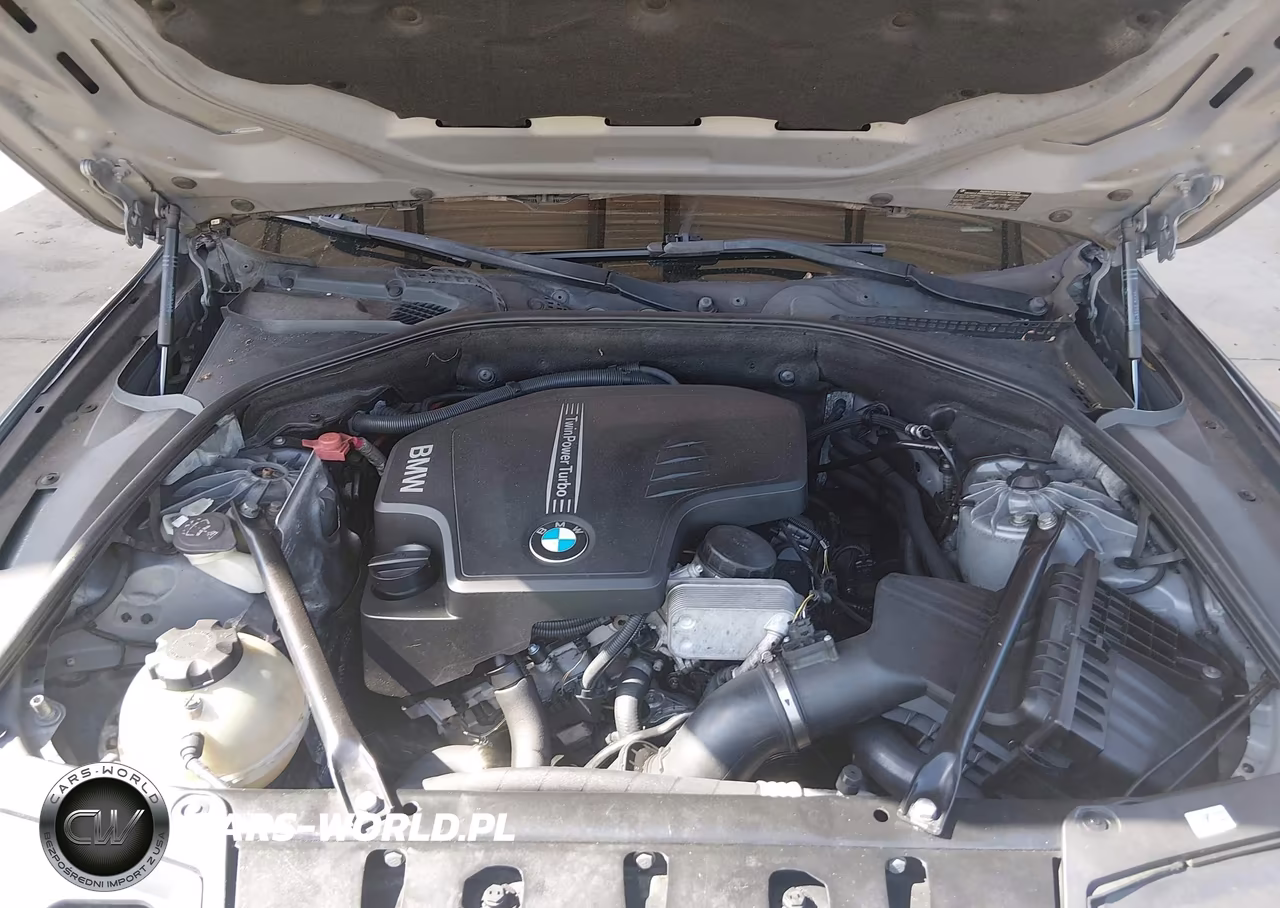 2014 BMW 528I VIN:WBA5A5C51ED504108 - 10