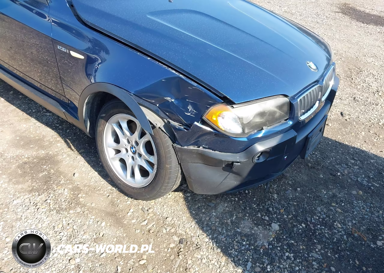 2004 BMW X3 2.5I VIN:WBXPA73424WB20183 - 6