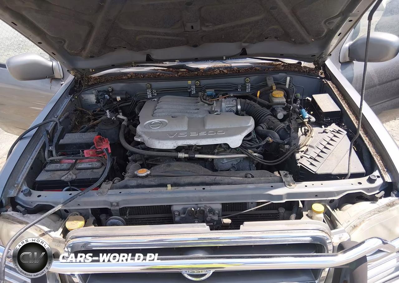 2004 Nissan Pathfinder Le Platinum VIN:JN8DR09X84W806084 - 10