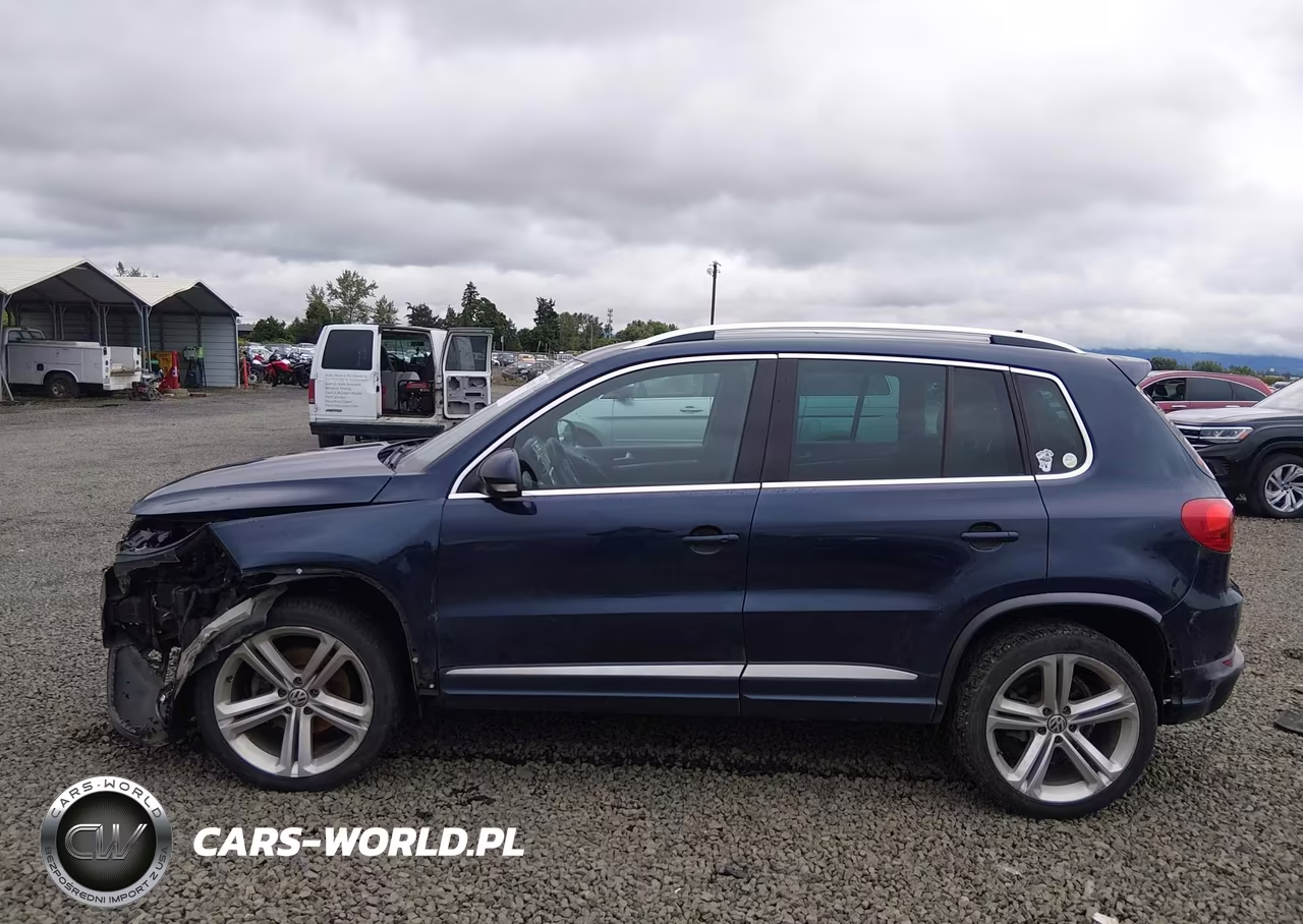 2015 Volkswagen Tiguan R-Line VIN:WVGAV7AX8FW550221 - 15