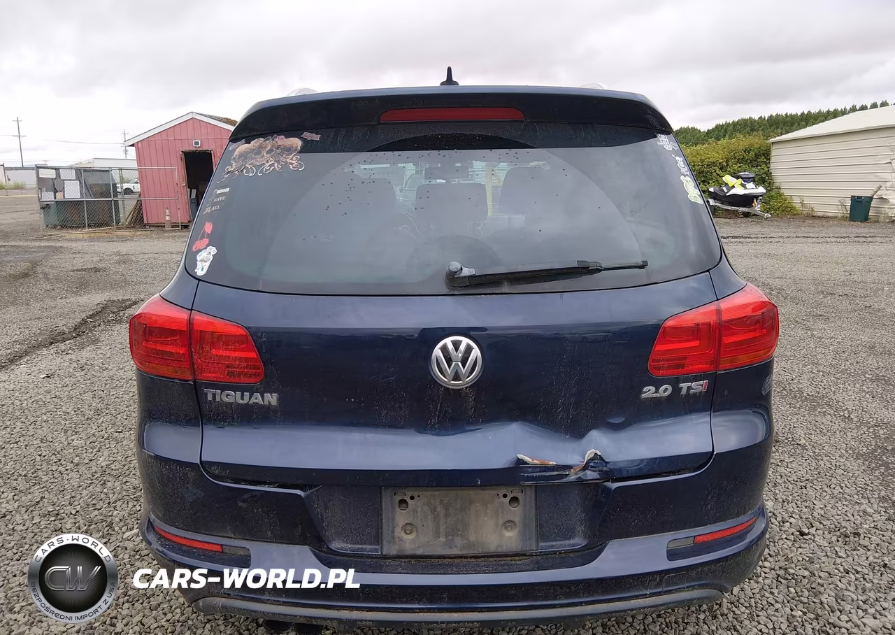 2015 Volkswagen Tiguan R-Line VIN:WVGAV7AX8FW550221 - 17