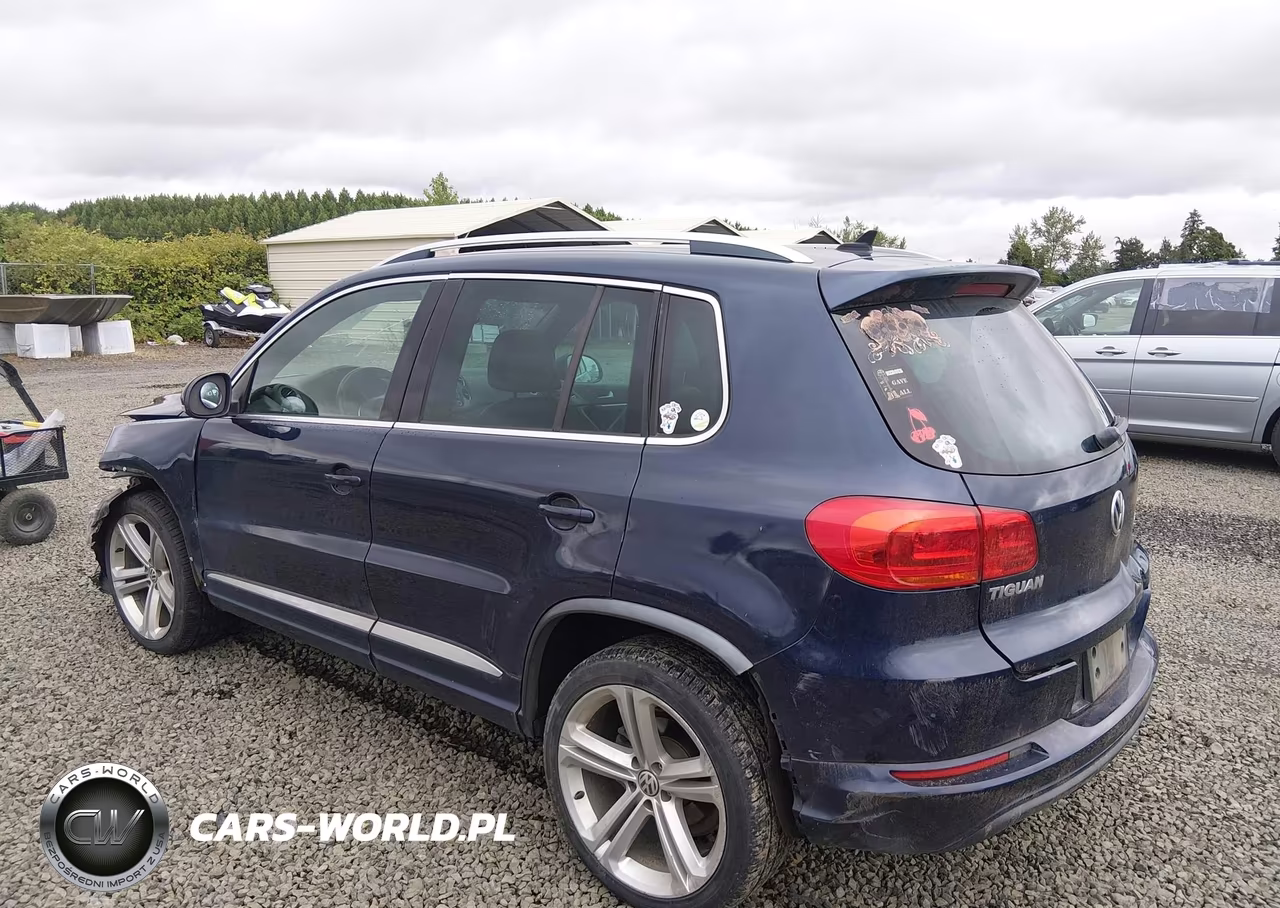 2015 Volkswagen Tiguan R-Line VIN:WVGAV7AX8FW550221 - 3