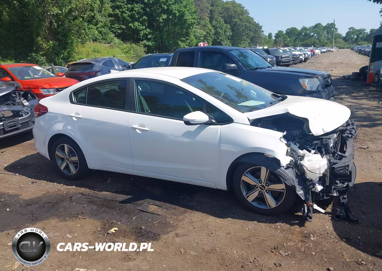 2018 Kia Forte Lx VIN:3KPFL4A76JE274042 - 13