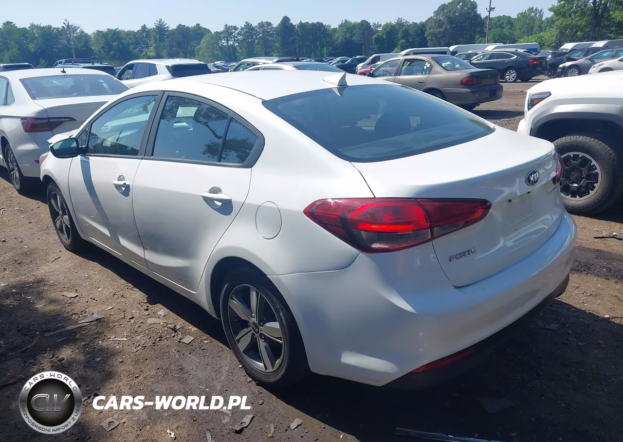2018 Kia Forte Lx VIN:3KPFL4A76JE274042 - 3