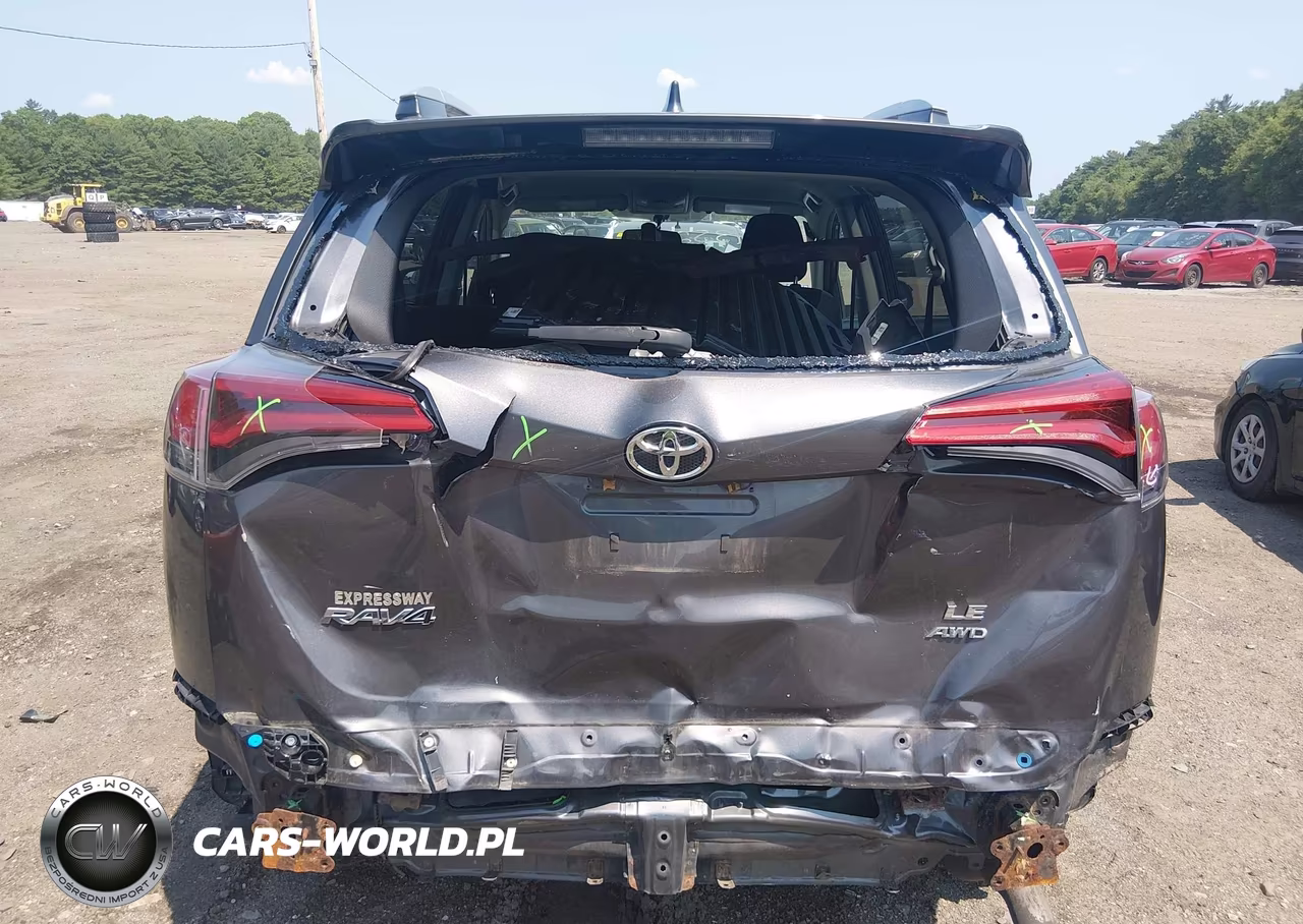 2016 Toyota Rav4 Le VIN:2T3BFREV9GW538203 - 17