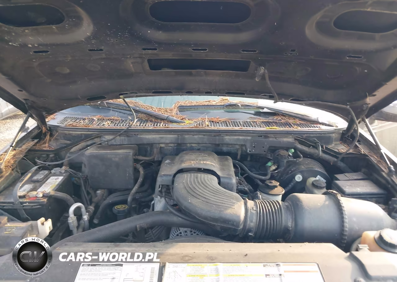 1997 Ford Expedition Eddie Bauer-Xlt VIN:1FMEU18W8VLA33421 - 10