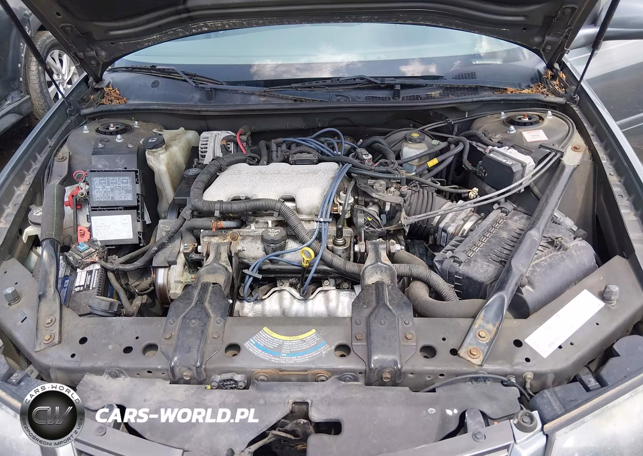 2004 Chevrolet Impala VIN:2G1WF52E549174763 - 10