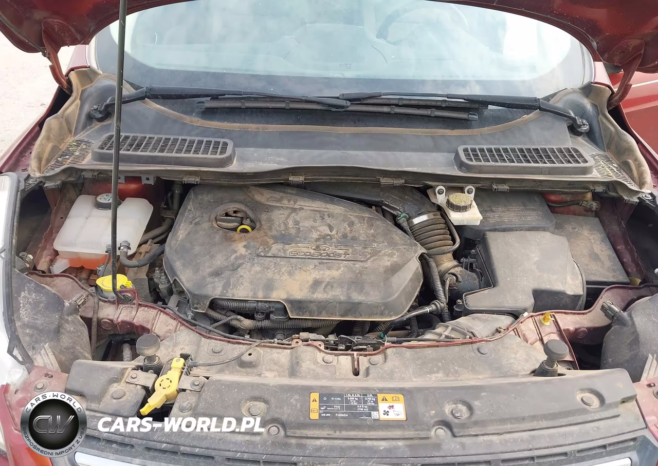 2014 Ford Escape Se VIN:1FMCU0GX9EUD91939 - 10