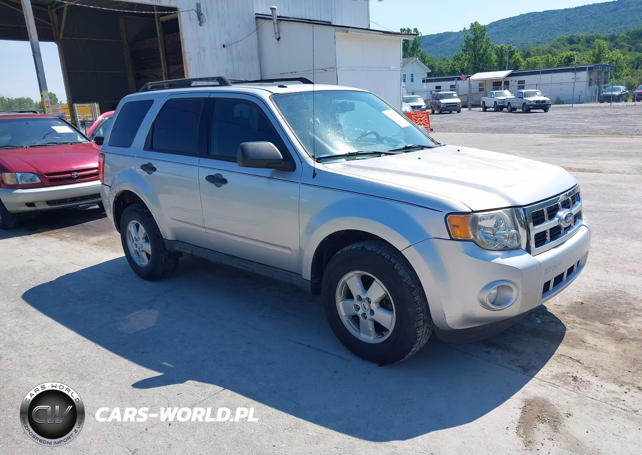 2010 Ford Escape Xlt