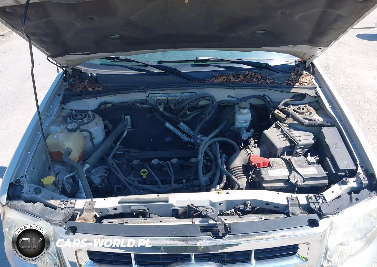 2010 Ford Escape Xlt VIN:1FMCU0D71AKA31915 - 10