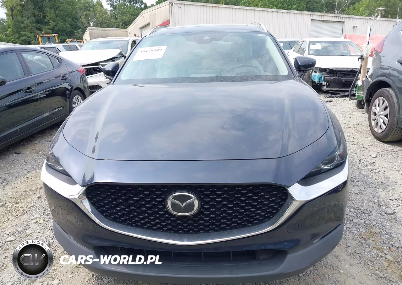 2020 Mazda Cx-30 Premium Package VIN:3MVDMAEM3LM138218 - 12