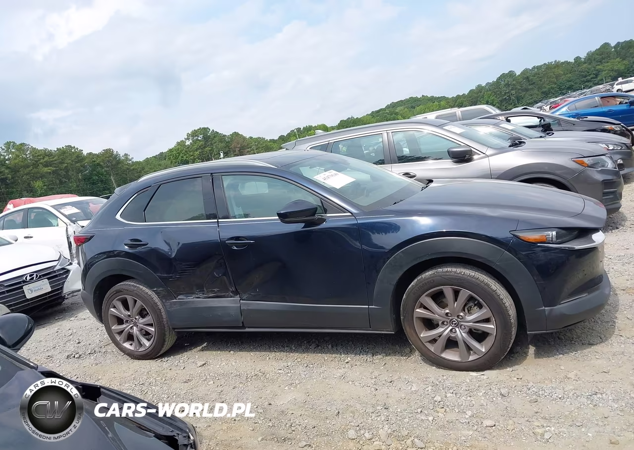 2020 Mazda Cx-30 Premium Package VIN:3MVDMAEM3LM138218 - 13