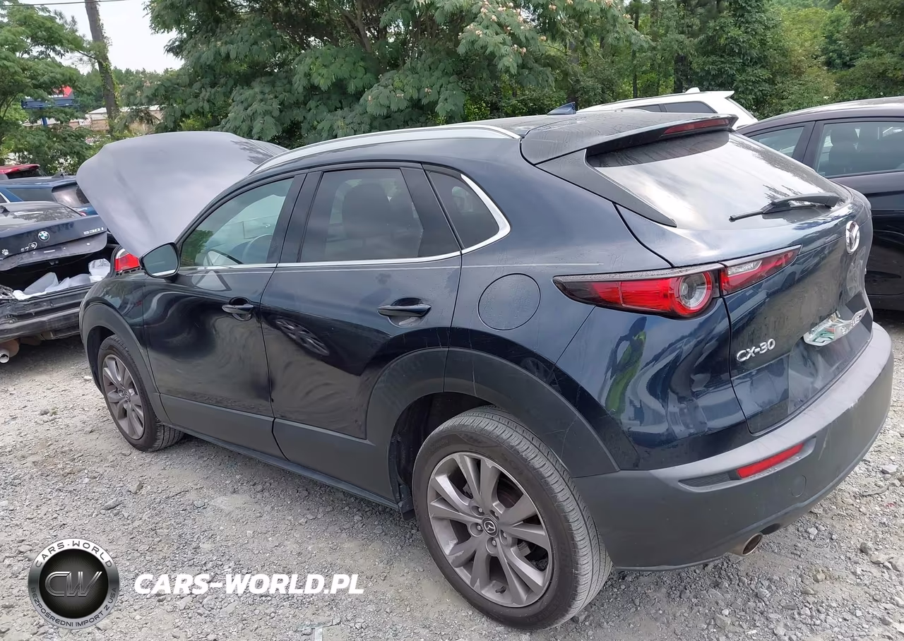 2020 Mazda Cx-30 Premium Package VIN:3MVDMAEM3LM138218 - 14
