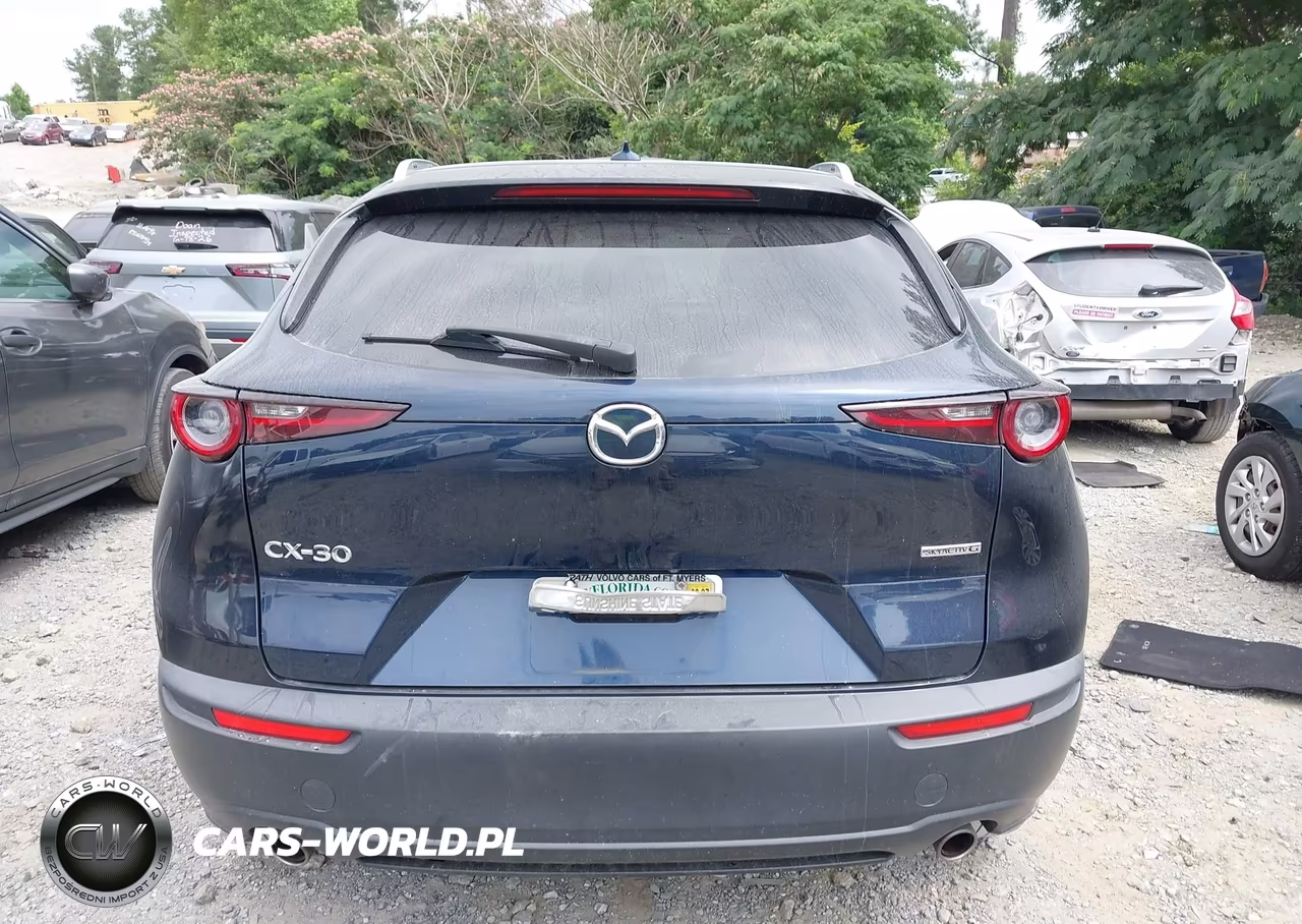 2020 Mazda Cx-30 Premium Package VIN:3MVDMAEM3LM138218 - 16