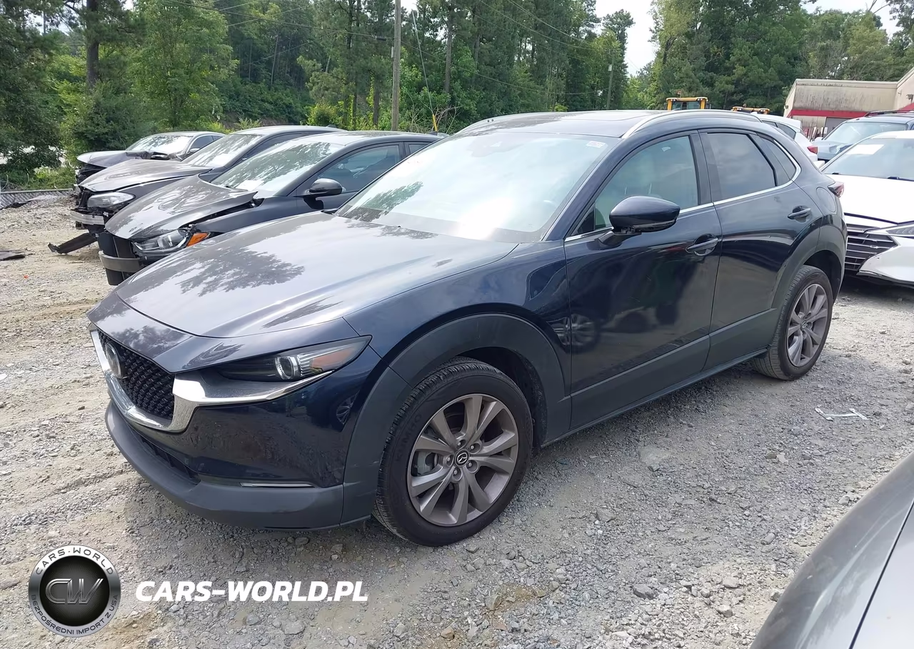 2020 Mazda Cx-30 Premium Package VIN:3MVDMAEM3LM138218 - 2