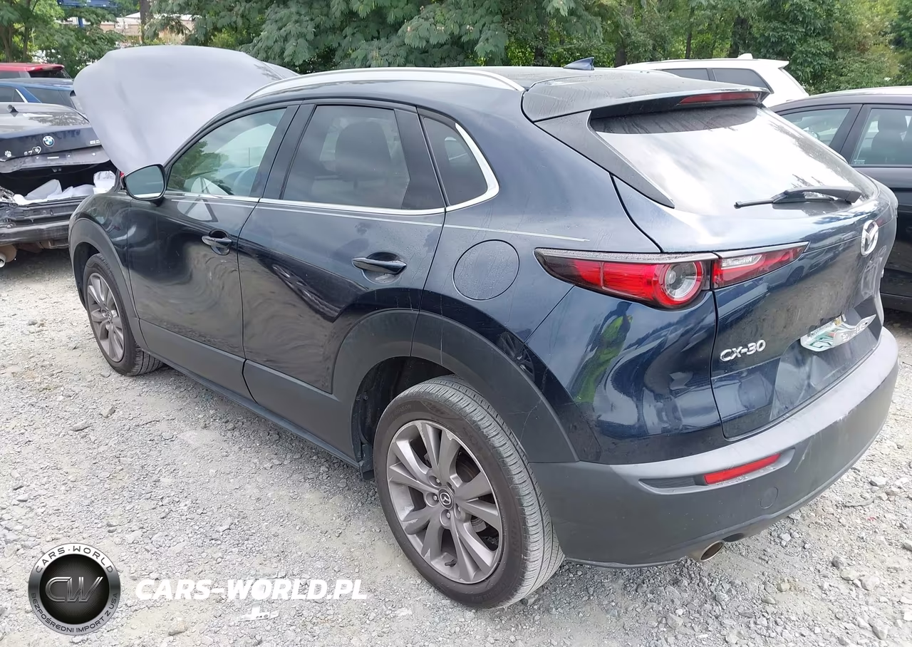 2020 Mazda Cx-30 Premium Package VIN:3MVDMAEM3LM138218 - 3