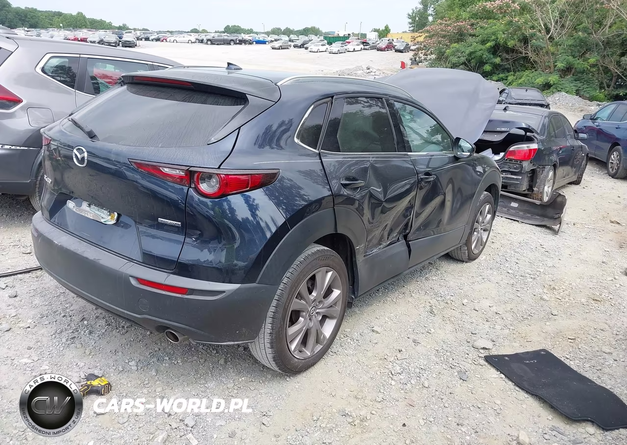 2020 Mazda Cx-30 Premium Package VIN:3MVDMAEM3LM138218 - 4