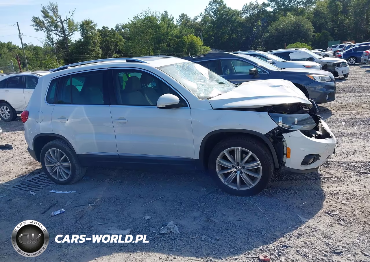 2015 Volkswagen Tiguan Sel VIN:WVGAV7AX9FW558635 - 13