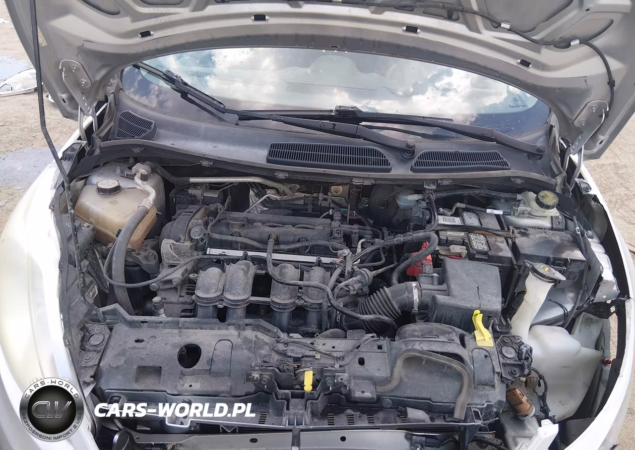 2013 Ford Fiesta Se VIN:3FADP4BJ5DM195077 - 10