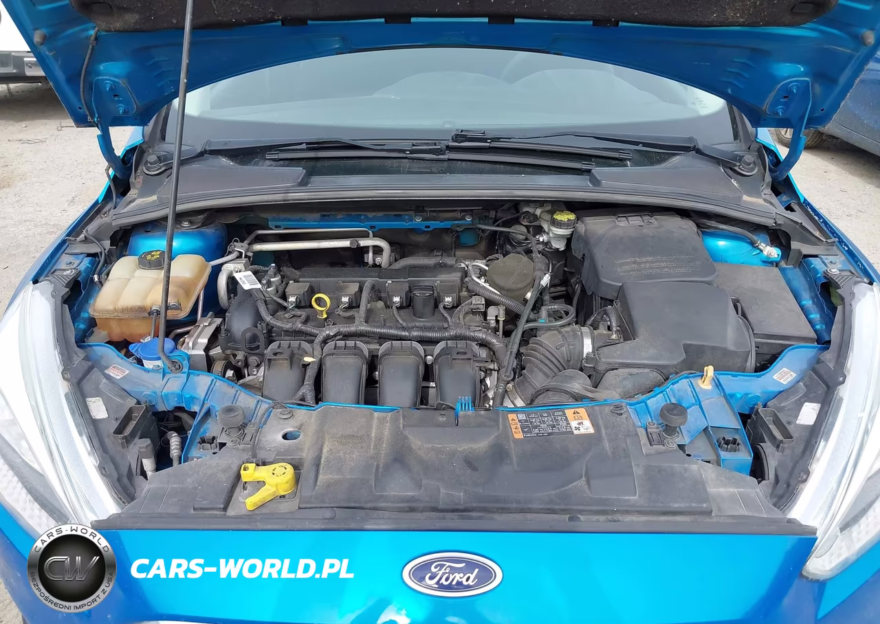 2015 Ford Focus Se VIN:1FADP3K26FL327027 - 10