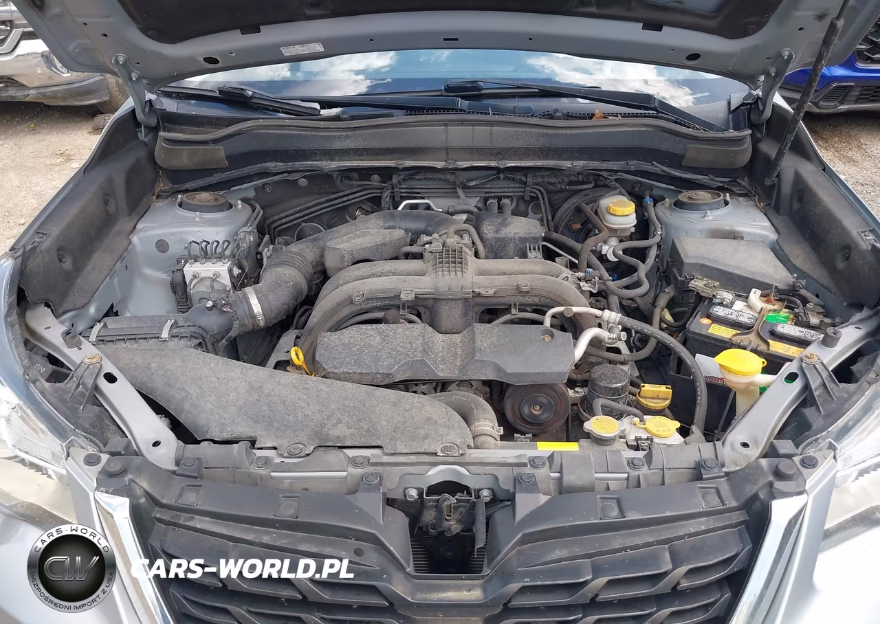 2017 Subaru Forester 2.5I Premium VIN:JF2SJAEC6HH408502 - 10