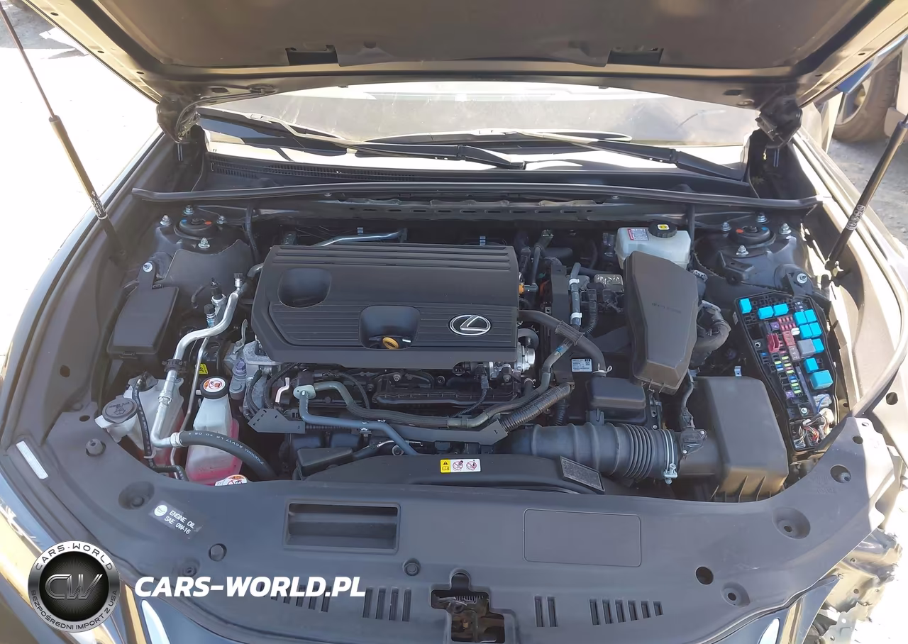 2022 Lexus Es 300H VIN:58ADA1C18NU024382 - 10