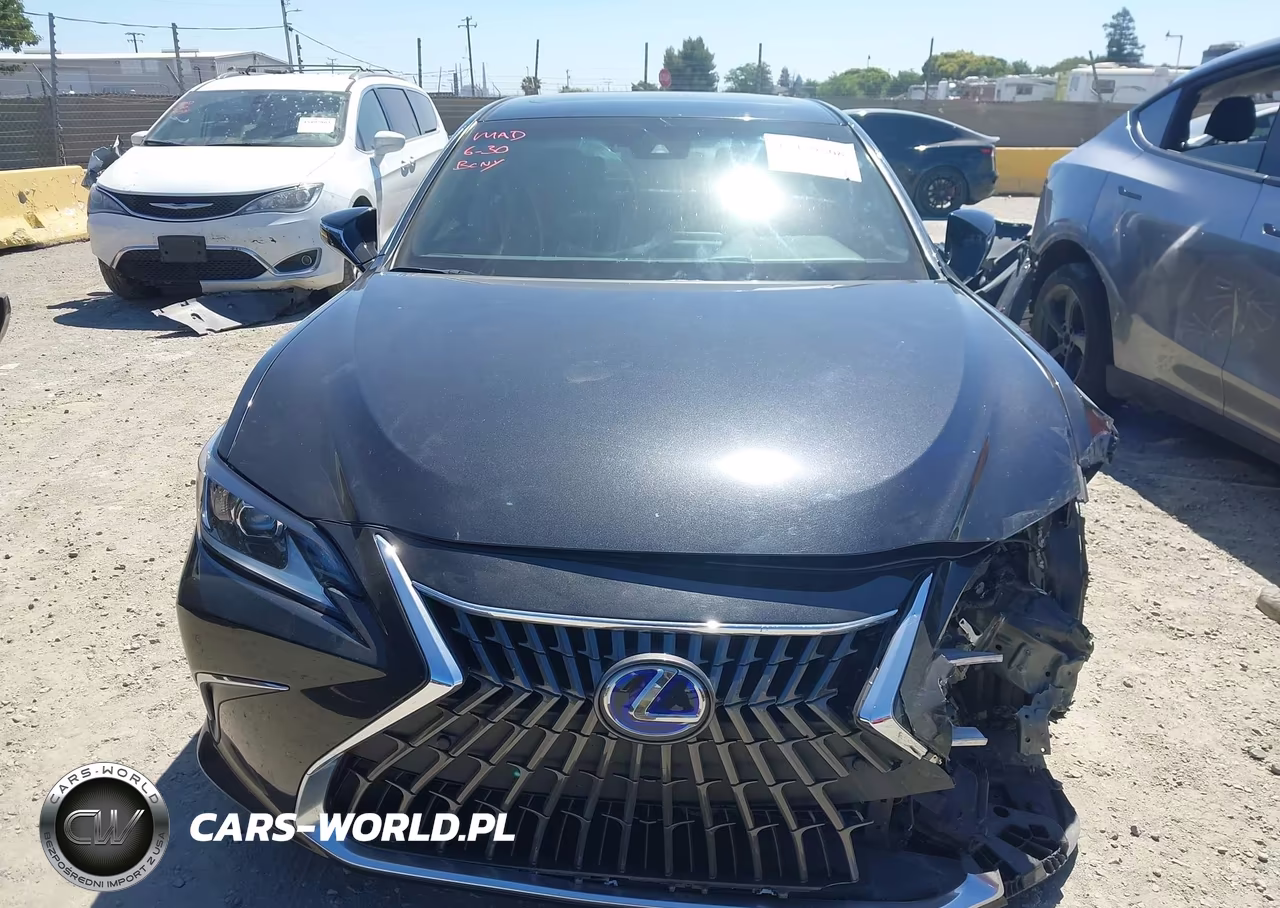2022 Lexus Es 300H VIN:58ADA1C18NU024382 - 12
