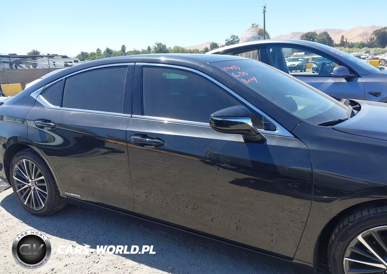 2022 Lexus Es 300H VIN:58ADA1C18NU024382 - 13
