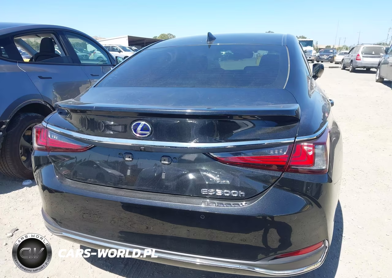 2022 Lexus Es 300H VIN:58ADA1C18NU024382 - 16