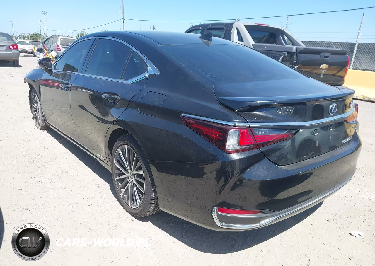 2022 Lexus Es 300H VIN:58ADA1C18NU024382 - 3