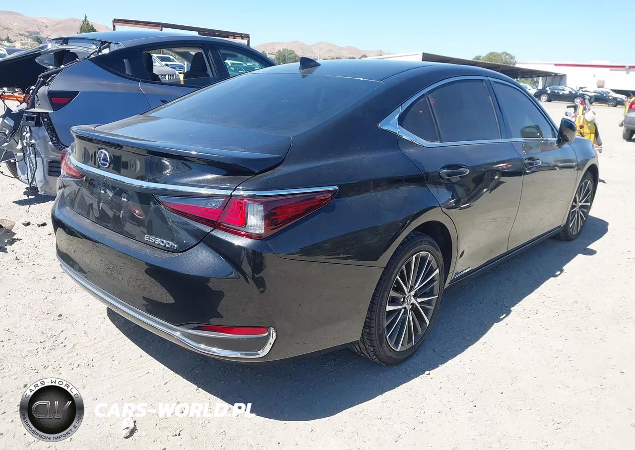 2022 Lexus Es 300H VIN:58ADA1C18NU024382 - 4