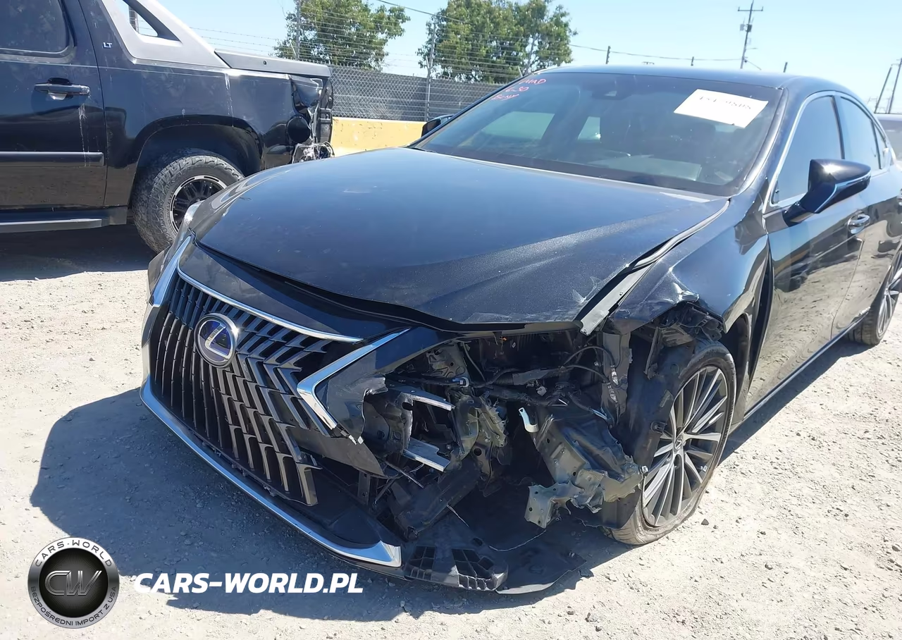 2022 Lexus Es 300H VIN:58ADA1C18NU024382 - 6