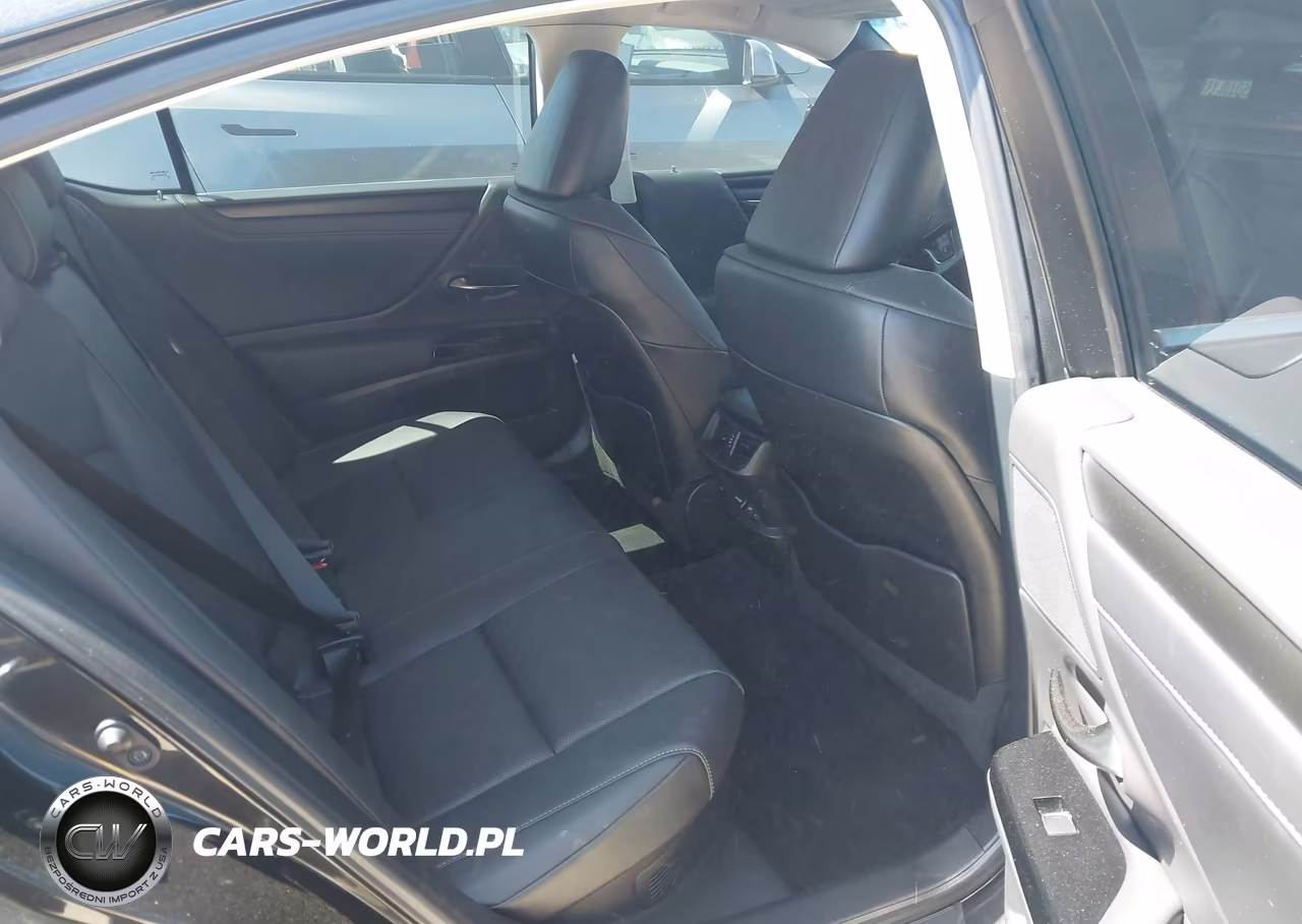 2022 Lexus Es 300H VIN:58ADA1C18NU024382 - 8