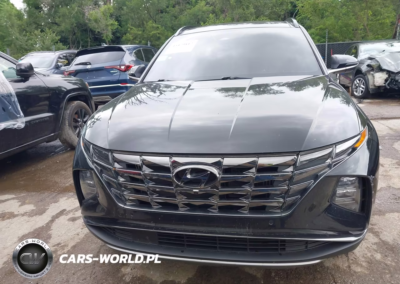 2024 Hyundai Tucson Hybrid Limited VIN:KM8JECD13RU222124 - 12