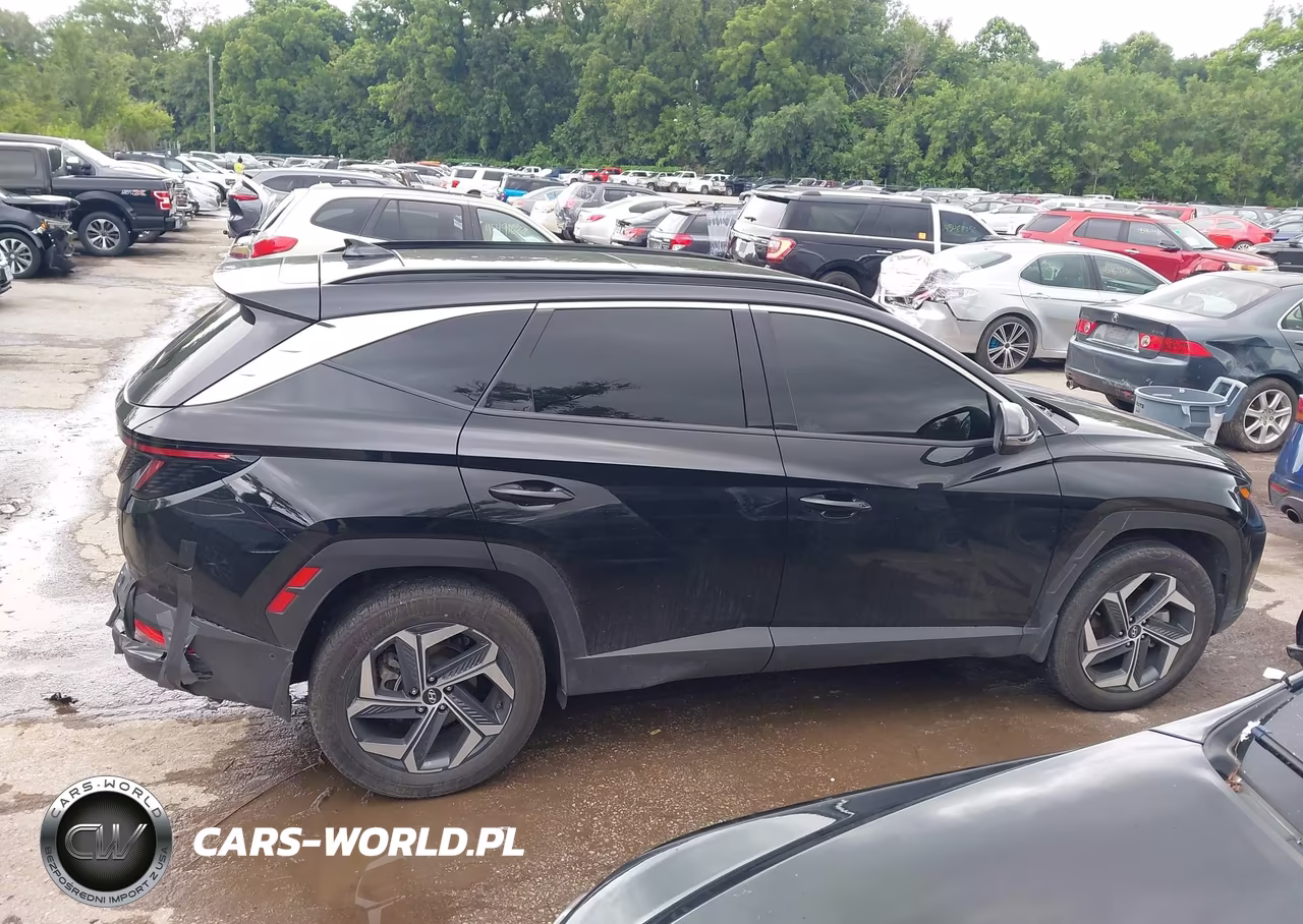 2024 Hyundai Tucson Hybrid Limited VIN:KM8JECD13RU222124 - 13