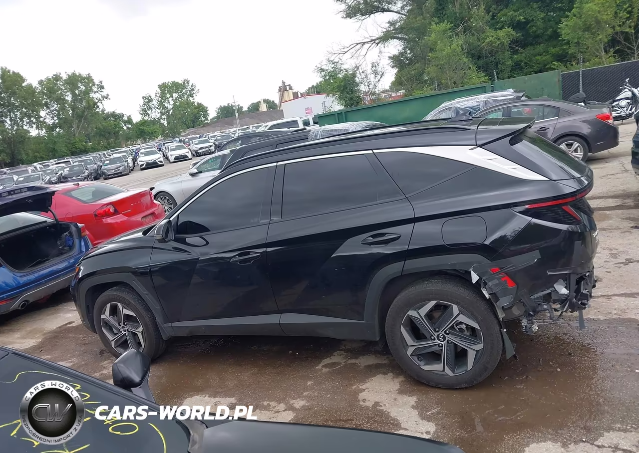 2024 Hyundai Tucson Hybrid Limited VIN:KM8JECD13RU222124 - 14