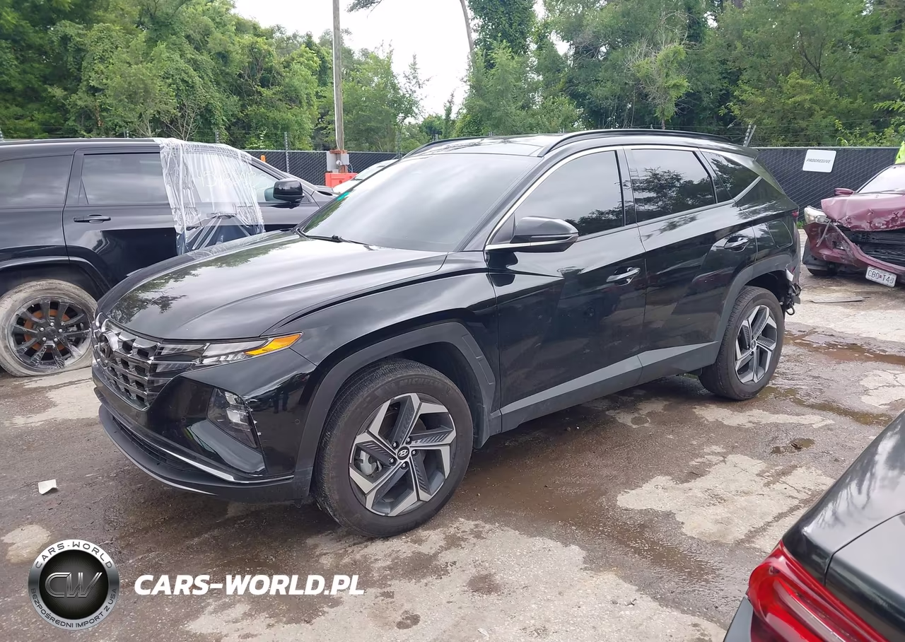 2024 Hyundai Tucson Hybrid Limited VIN:KM8JECD13RU222124 - 2