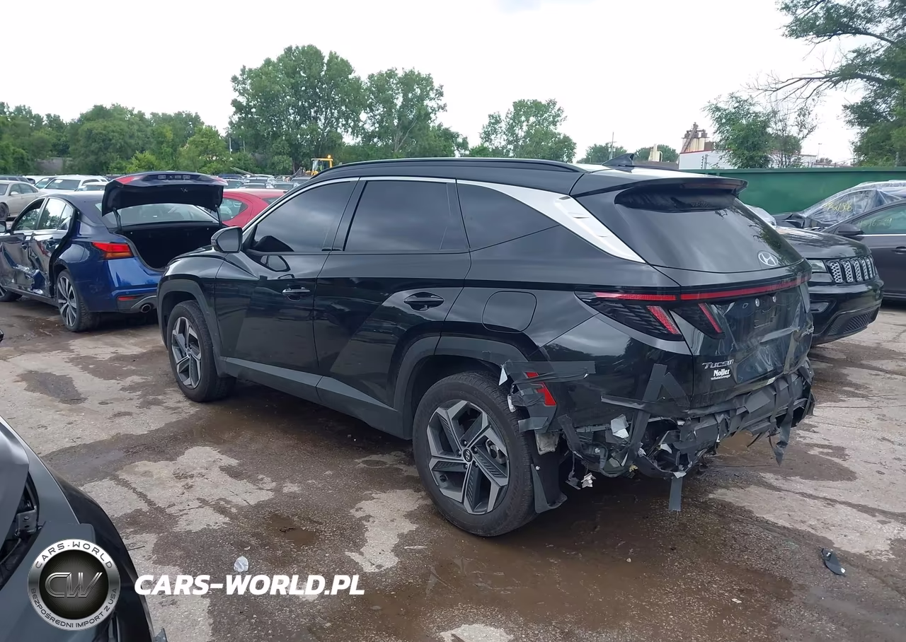 2024 Hyundai Tucson Hybrid Limited VIN:KM8JECD13RU222124 - 3