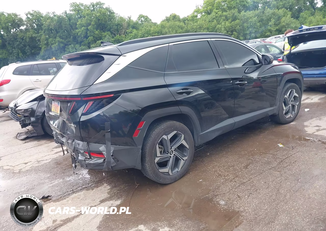 2024 Hyundai Tucson Hybrid Limited VIN:KM8JECD13RU222124 - 4