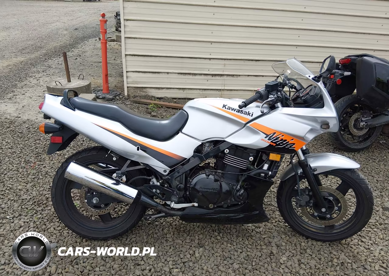 2004 Kawasaki Ex500 D VIN:JKAEXVD124A086388 - 12