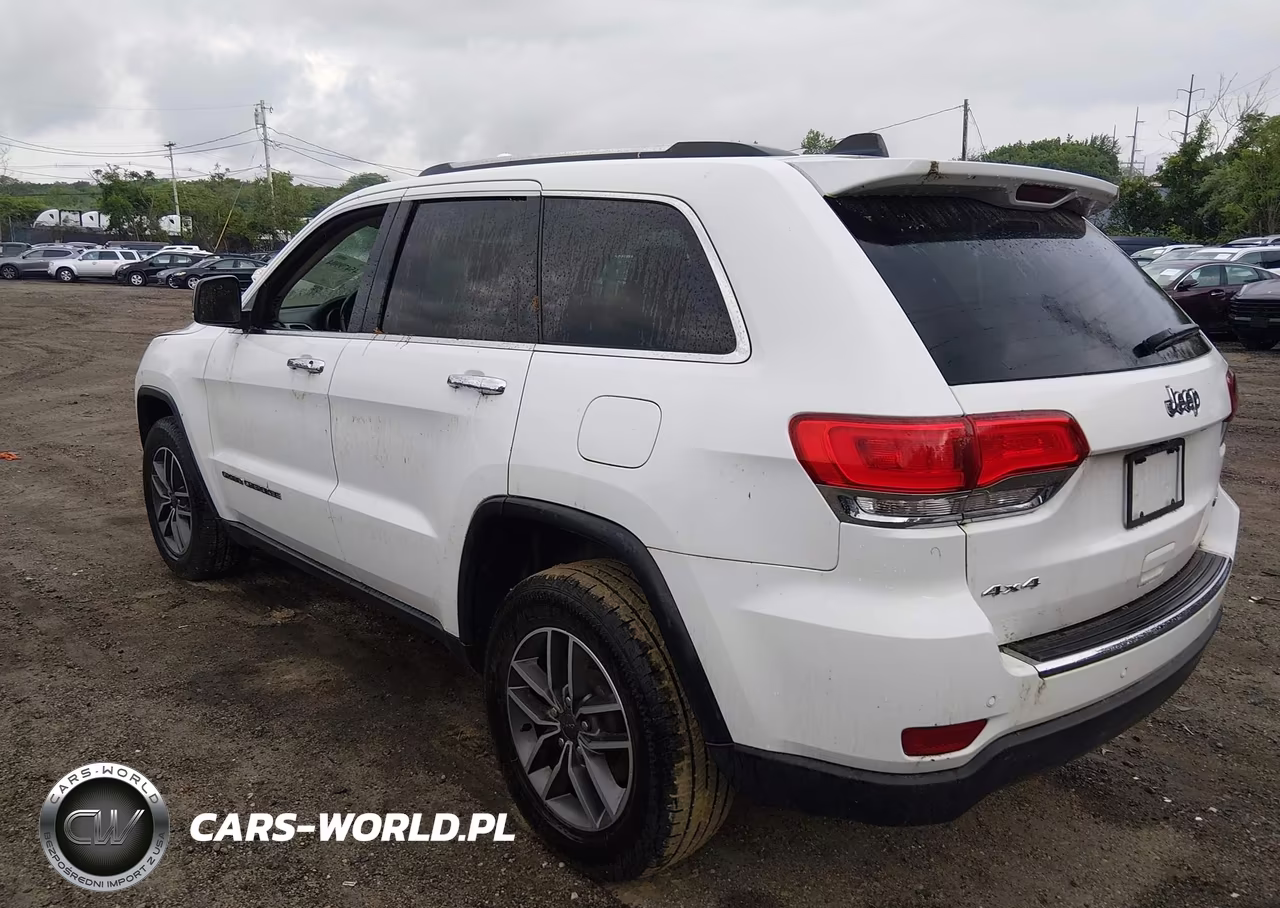2019 Jeep Grand Cherokee Limited 4X4 VIN:1C4RJFBG9KC765761 - 3