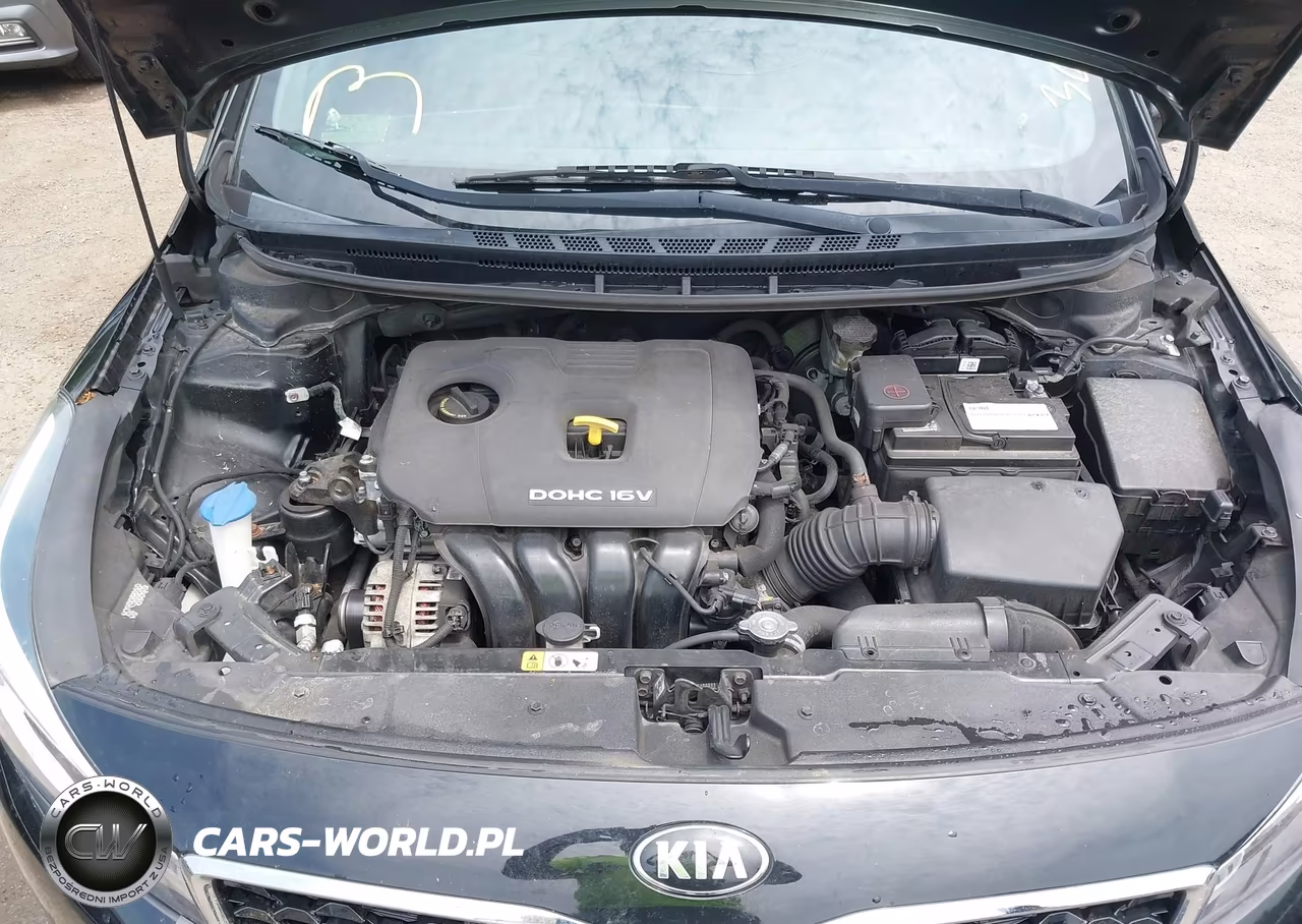 2017 Kia Forte Lx VIN:3KPFK4A73HE065483 - 10