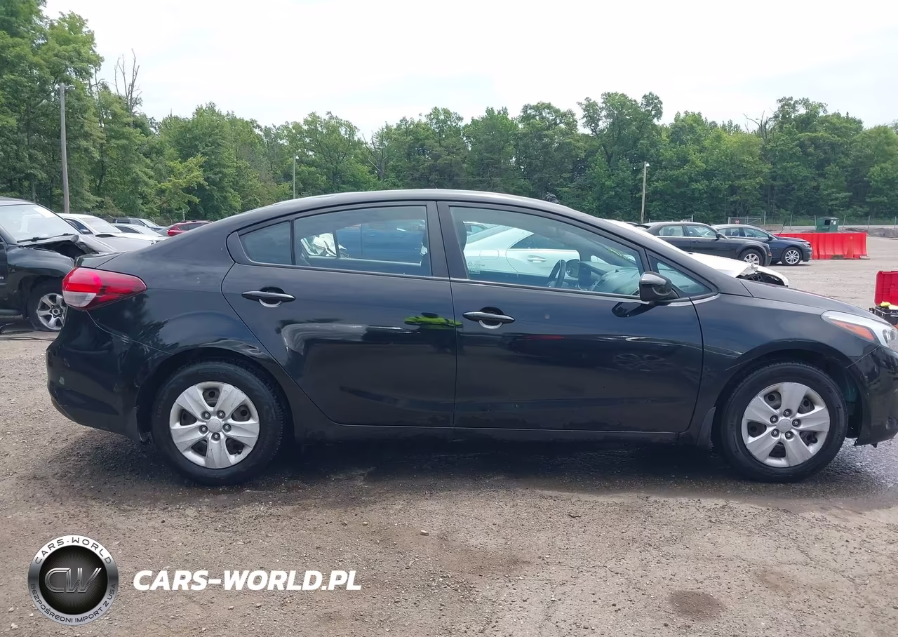 2017 Kia Forte Lx VIN:3KPFK4A73HE065483 - 13