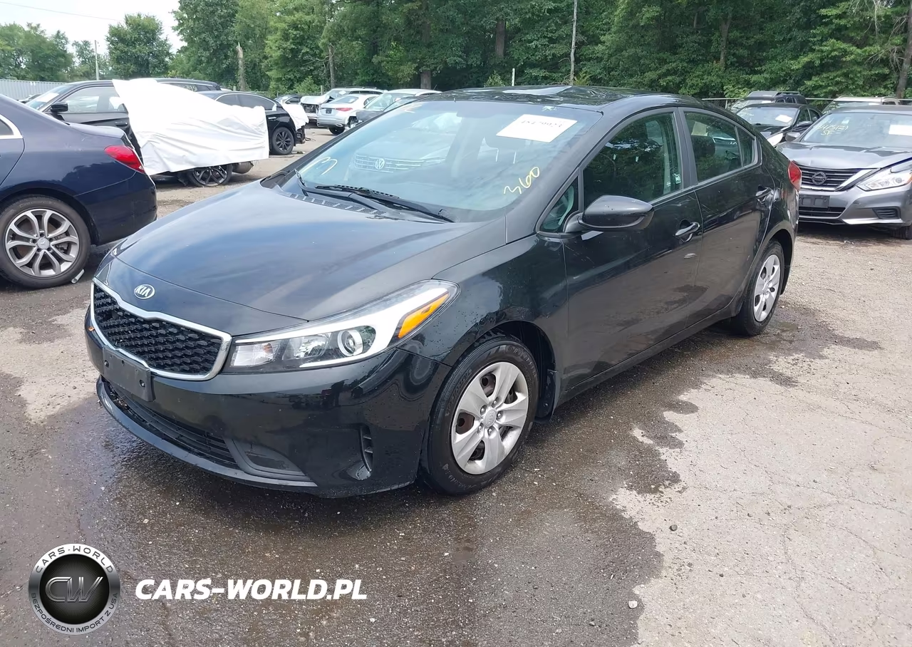 2017 Kia Forte Lx VIN:3KPFK4A73HE065483 - 2