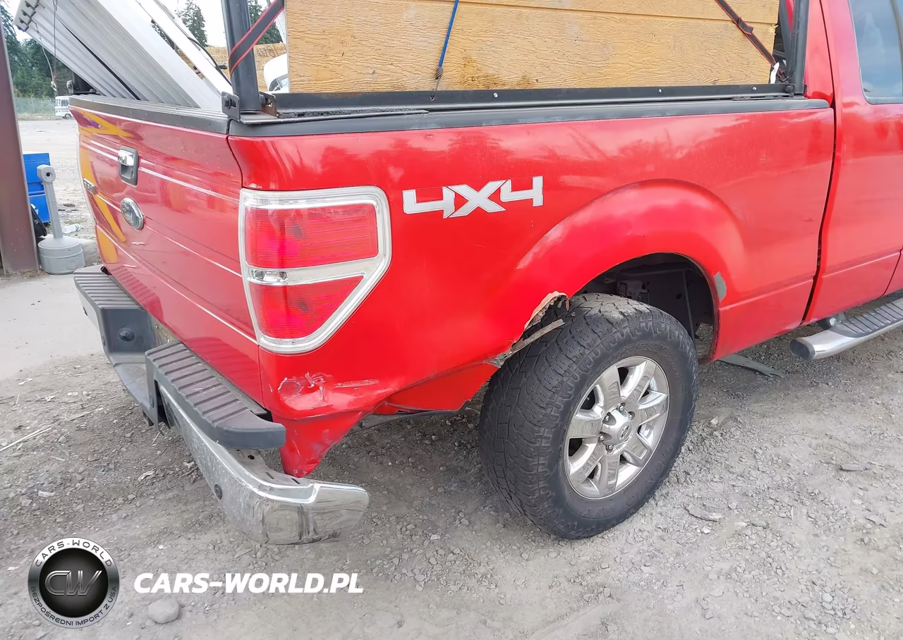 2009 Ford F-150 Fx4-Lariat-Xl-Xlt VIN:1FTPX14V59FA30434 - 12