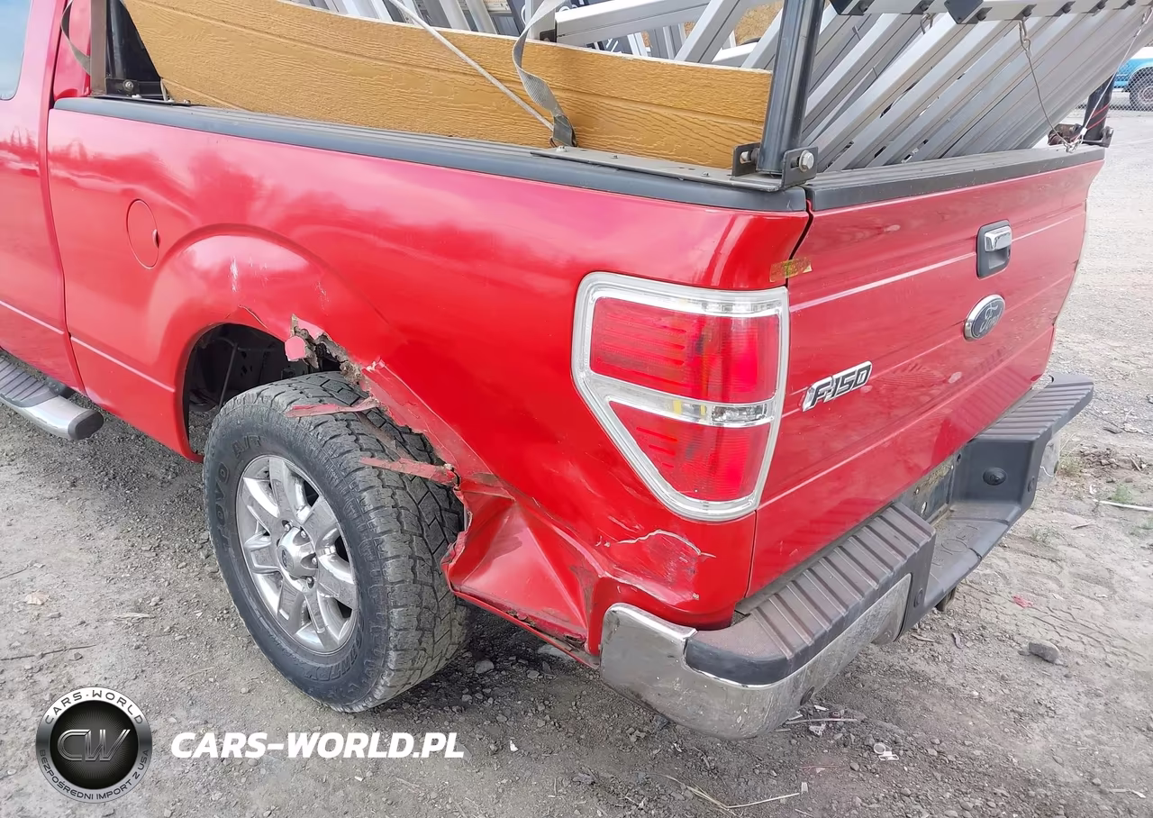 2009 Ford F-150 Fx4-Lariat-Xl-Xlt VIN:1FTPX14V59FA30434 - 13